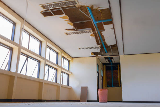 Best Water damage restoration near me  in Hilltop, SC