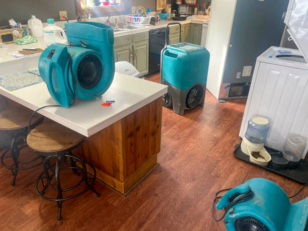 Best Water damage restoration near me  in Hilltop, SC