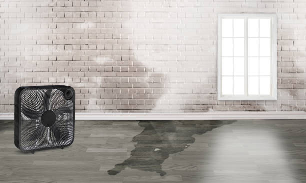 Best Sewage cleanup and water damage restoration  in Hilltop, SC